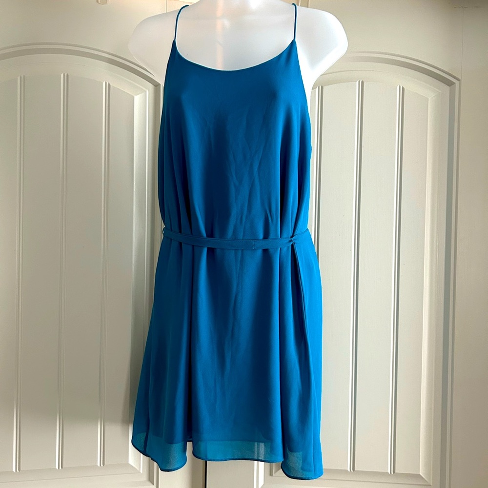 Naked Zebra Teal Mini Dress